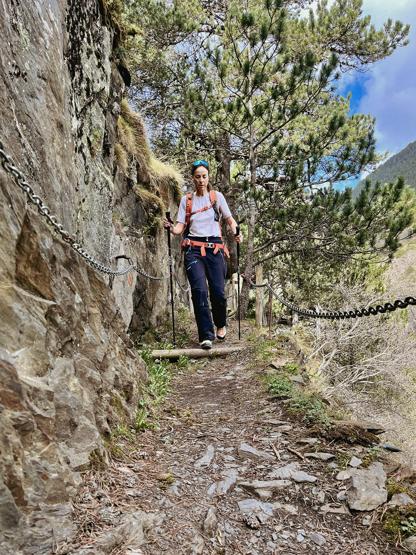 Merino Dry vs. Merino Pure: cuál elegir para senderismo